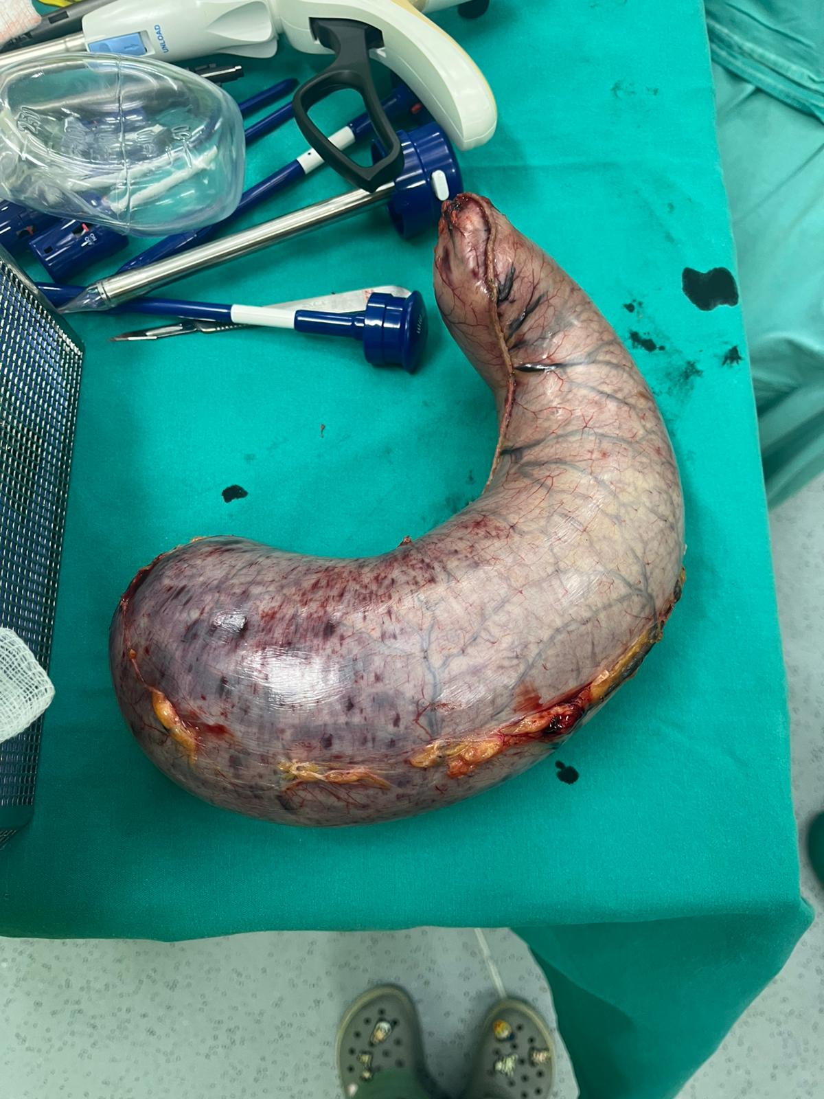 Malatya İnönü Üniversitesi Klinik Araştırma Birimi görseli